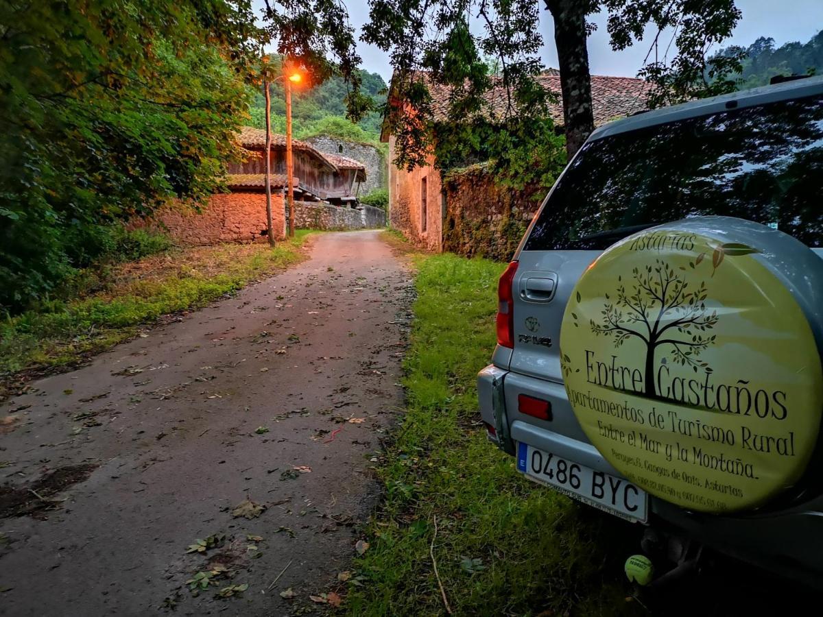 Casas Rurales Entrecastanos Onís Exteriér fotografie
