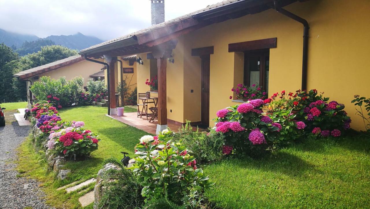 Casas Rurales Entrecastanos Onís Exteriér fotografie