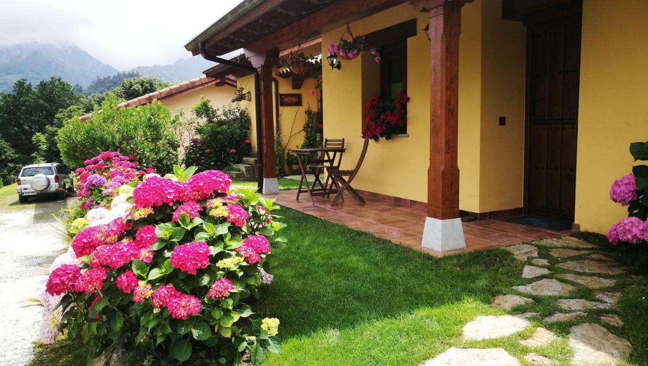 Casas Rurales Entrecastanos Onís Exteriér fotografie